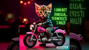 Котик байкер