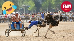 Смешная и уморительная жизнь людей 😆  ПОПРОБУЙ НЕ РАССМЕЯТЬСЯ ЧЕЛЛЕНДЖ 😂 Подборка смешных видео