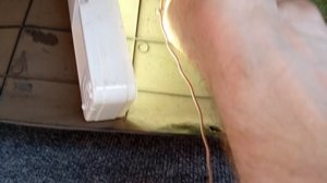 MR578649_3