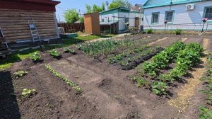 Не умею и не привыкла отдыхать