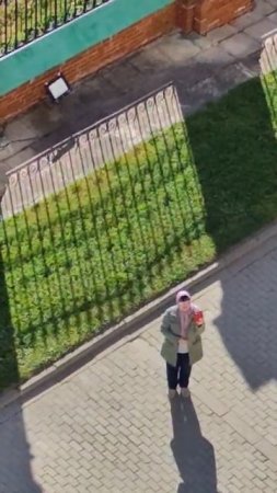 Вид с колокольни Воскресенского Собора г Волоколамска 22.09.2024