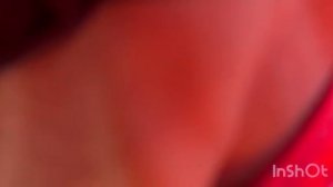 обучение на Роликах в Сочи