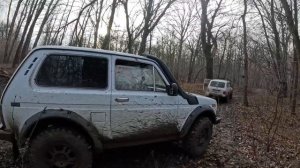 BYD LEOPARD 5 на бездорожье с НИВАМИ