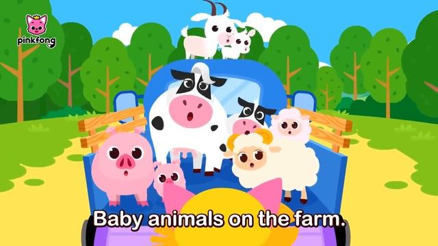 03. Baby Animals