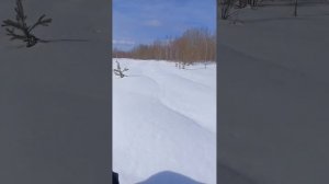 Тофалар 500. 10 марта. Дачные покатушки.