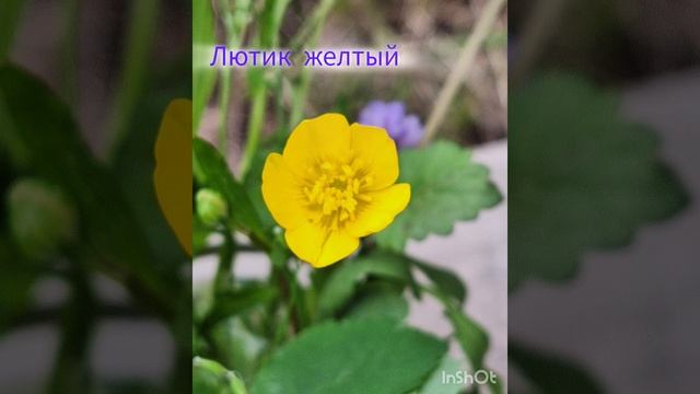 Изучаем природу вместе с детьми.