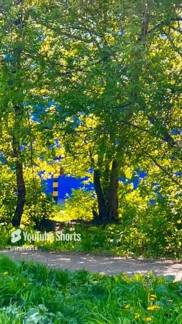 #новокузнецк #лето #природа #жара#2025 #shorts #shortvideo #status #short #город #надеждажитина