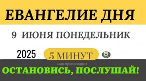 9 июня понедельник Евангелие дня 2025 с толкованием