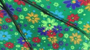 Прогулочка +19 тепла и накрапывает дождь (27.05.25)