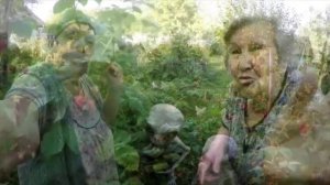 Шок: все это время на РЕН-ТВ показывали правду.

Распространите