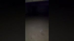 Голубые дали, 5