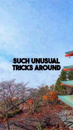 Go beyond the postcard view of Mt Fuji. Discover unique experiences like floating peaks, perfect...