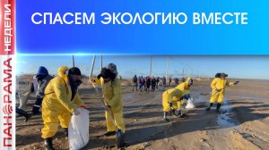 ⚡️ Экологический фронт. Как добровольцы боролись с нефтяным разливом?