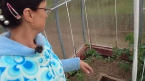 Видео привет привет привет с 6 соток 7 июня 2025 года