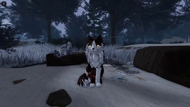 💝💗💓💞💖 WCUE lll 💝💗💓💞💖