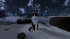 💝💗💓💞💖 WCUE lll 💝💗💓💞💖