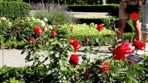 Menschen A1.1 Clip 11