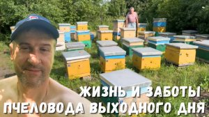 Обзор работы на пасеке: жизнь и заботы пчеловода выходного дня!