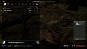 Skyrim с модами №54