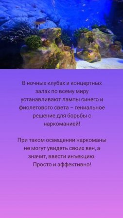 Лампы против наркотиков 🤗💡🧞♂️