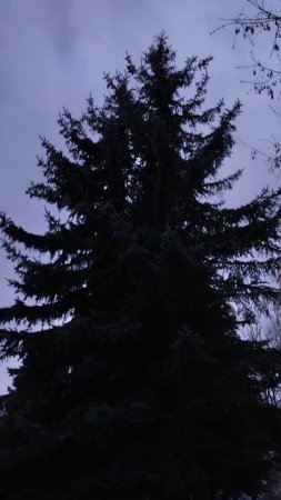 PXL_20240409_053027485