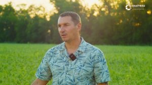 Видеообзор поля c горохом ЛУМП компании SAATBAU.