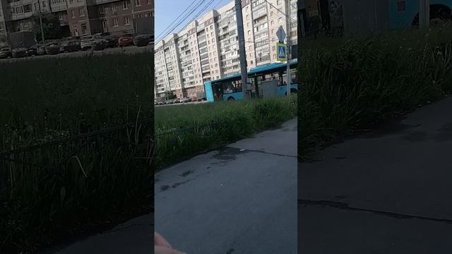 Задиры и я