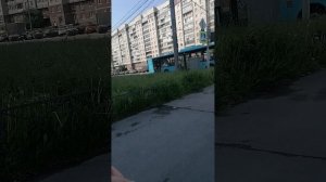 Задиры и я