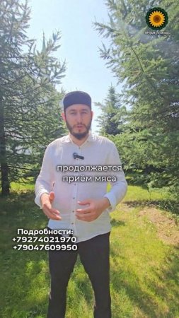 Серова 4а