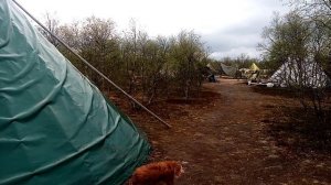 Жилище оленеводов