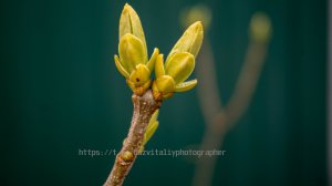 Обзор оборудования для Canon 650d