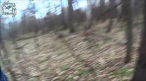 Охота на рябчика с манком. Винтовка Retay Hunter 2022. Грустны?