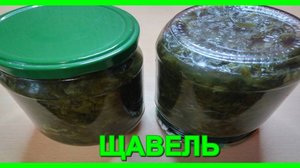 проверенный годами рецепт__ЩАВЕЛЬ НА ЗИМУ__без соли