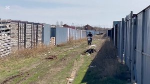 Выезд на Пит байке