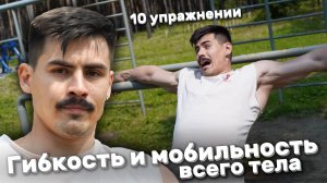 Гибкость и мобильность всего тела в 10 УПРАЖНЕНИИ