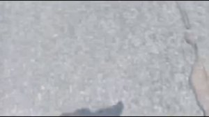 Паркурю с PAKOUR SEMKA. Я упал. Паркур медуза кукуруза подпишитесь и лайк незабудь