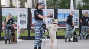Кинологи и кавалеристы приняли участие в мероприятиях тематического дня МВД России на Поклонной горе