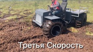 Колбасим Болото