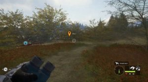 гайд патроны The hunter call of the wild