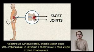 Почему наклон таза вперёд необходимо исправлять