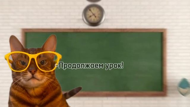 ОСНОВЫ ПОВЕДЕНИЯ  КОТИНЕТ пародия kotiynet