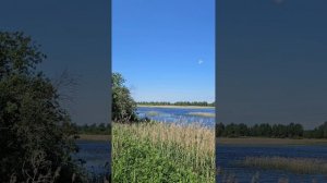 открываем Россию Ярославская область Вареговские карьеры