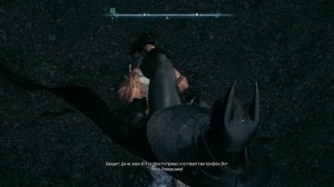 Бэтмен и Женщина-кошка