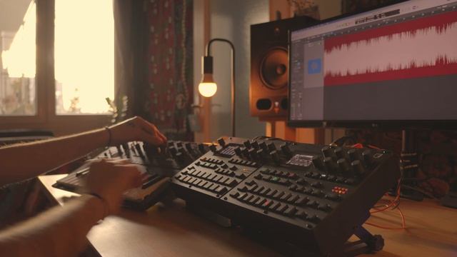 Korg Monologue ｜ Digitakt II ｜ Digitone II - Gravitropism (D&B jam)