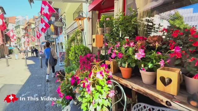 Идеальное лето в Цюрихе, Швейцария. Пешая экскурсия🇨🇭Впечатляющий утренний рынок
