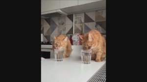 Позитивчик в Вашу карму.