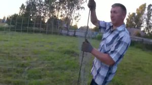 Забор переносной дёшево и  быстро. Ограждение для кур.