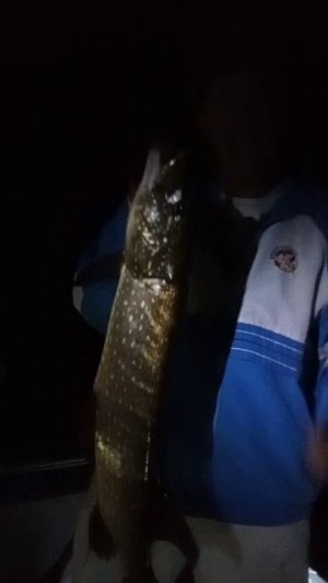 Первая крупная щука