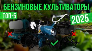 Рейтинг лучших бензиновых культиваторов : ТОП-5 моделей для покупки 2025 года