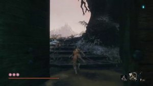 Знакомство с Тэнгу из Асина. Sekiro: Shadows Die Twice